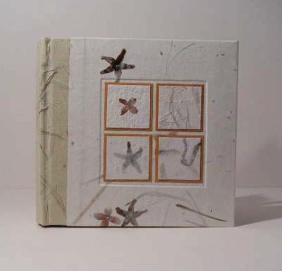 Indipaper - star (star)