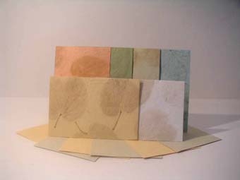 Indipaper - set of 6 blank cards (set of 6 blank cards)